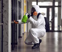 Why You Should Choose Our Mold Remediation Services in Union, NJ